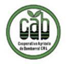 cab logo