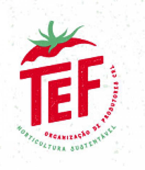 TEF - Organização de Produtores, C.R.L.